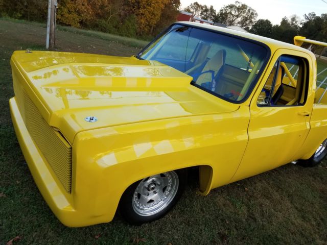 1978 Chevrolet Other Pickups - photo 8