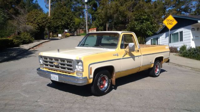 1978 Chevrolet Silverado 10 100% Rust Free Runs Perfect 75K Orig Miles 1978 Chevrolet C-10
