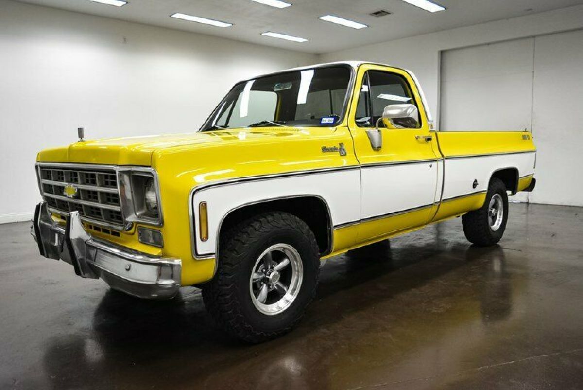 1978 Chevrolet Silverado 1500 Big 10 - photo 3