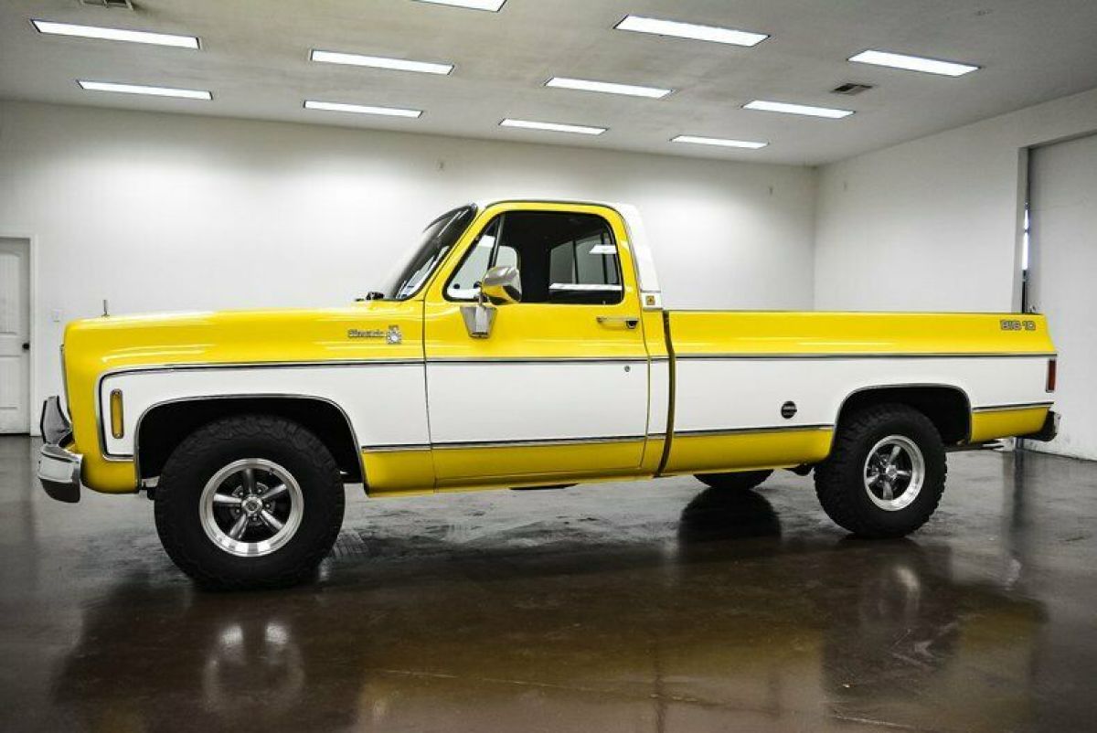 1978 Chevrolet Silverado 1500 Big 10 - photo 4