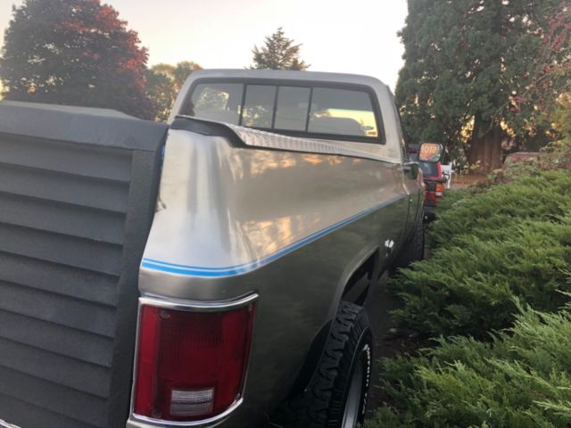 1978 Chevrolet C/K Pickup 2500 - photo 7