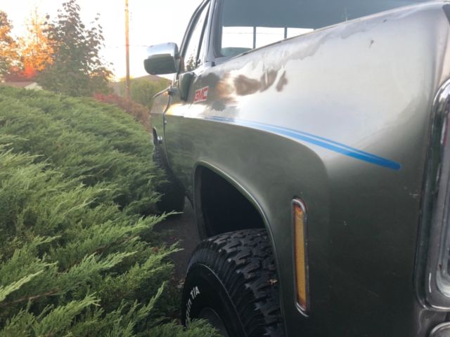 1978 Chevrolet C/K Pickup 2500 - photo 9