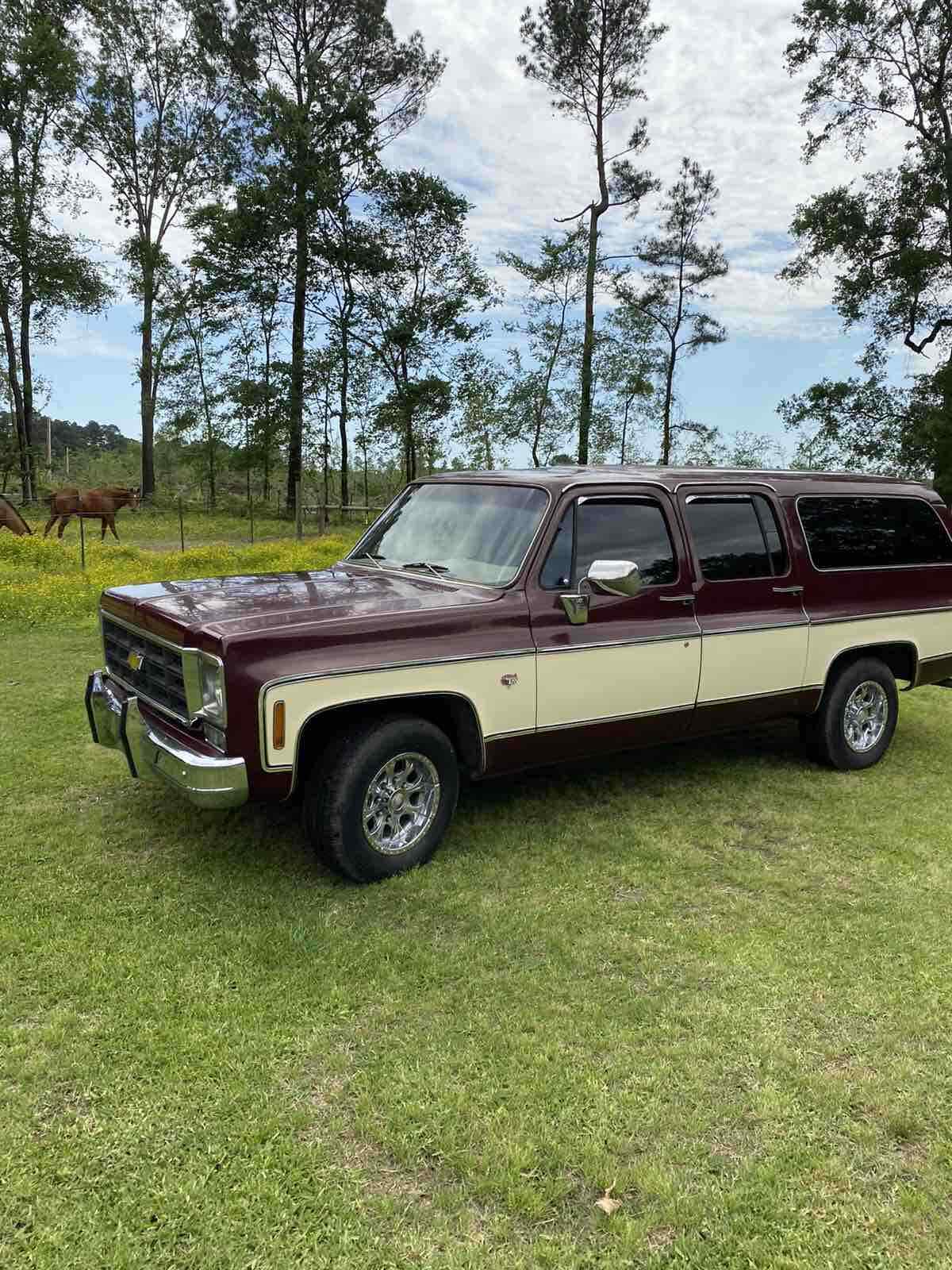 1978 Chevrolet Suburban Silverado - photo 4
