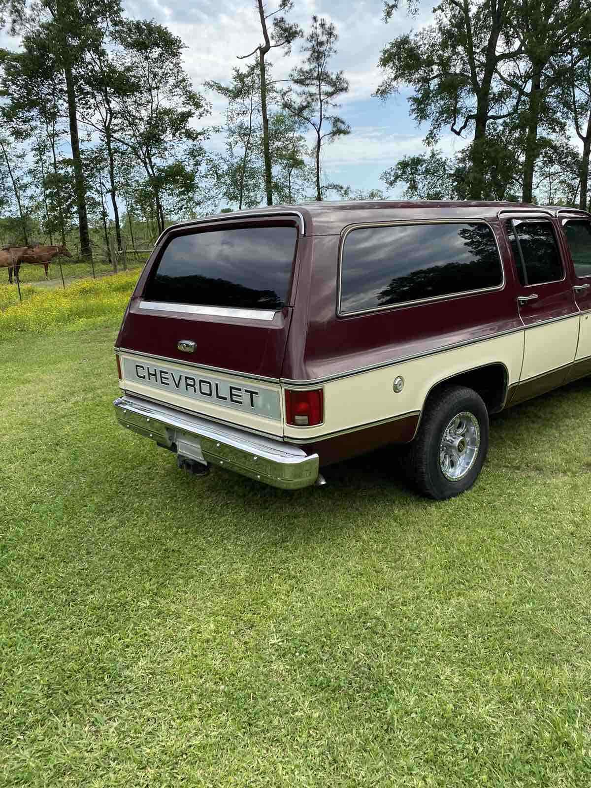 1978 Chevrolet Suburban Silverado - photo 6