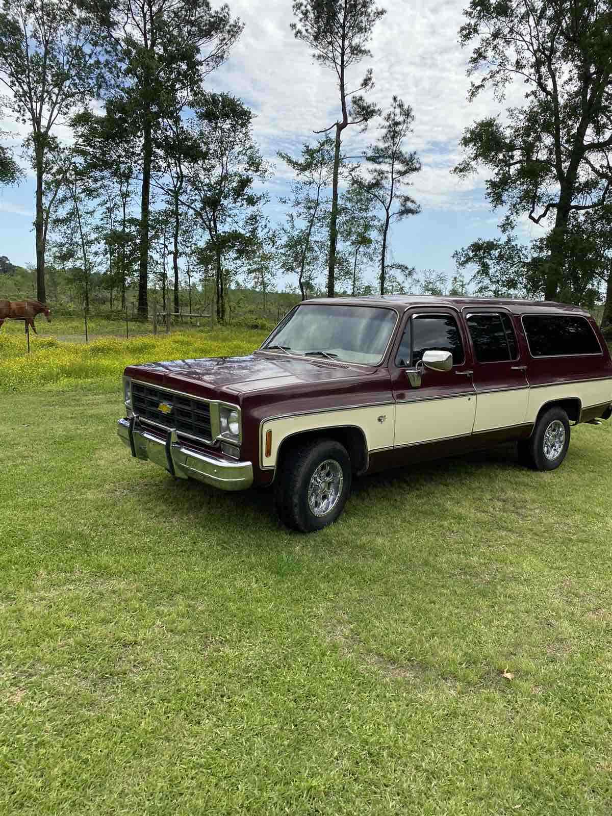1978 Chevrolet Suburban Silverado - photo 9