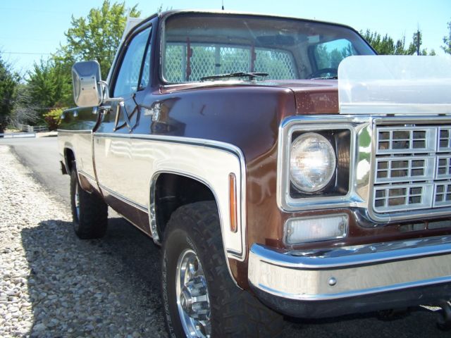 1978 Chevrolet C/K Pickup 2500 SILVERADO - photo 10