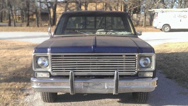 1978 Chevrolet C-10 Big 10 - photo 6