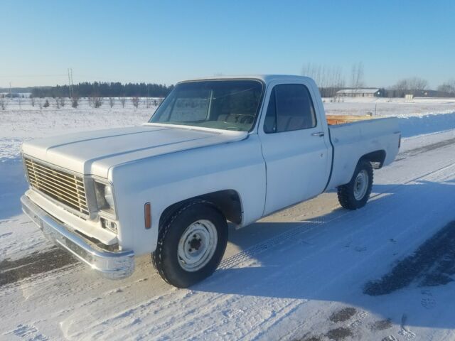 1978 Chevrolet C-10 - photo 5