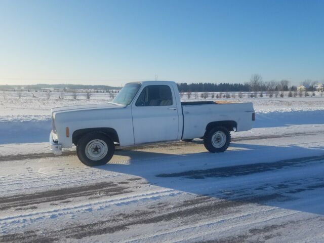 1978 Chevrolet C-10 - photo 6