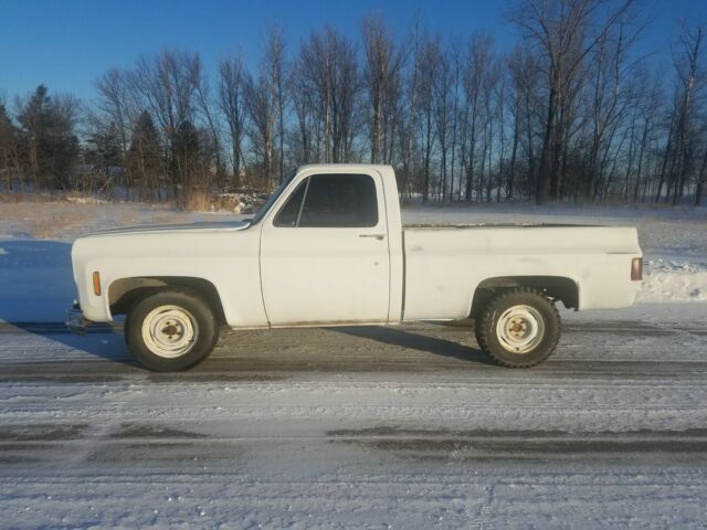 1978 Chevrolet C-10 - photo 7