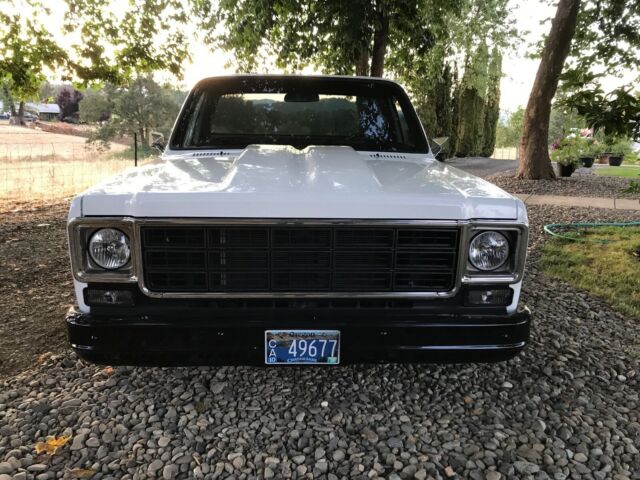 1978 Chevrolet C-10 Short-Box - photo 6