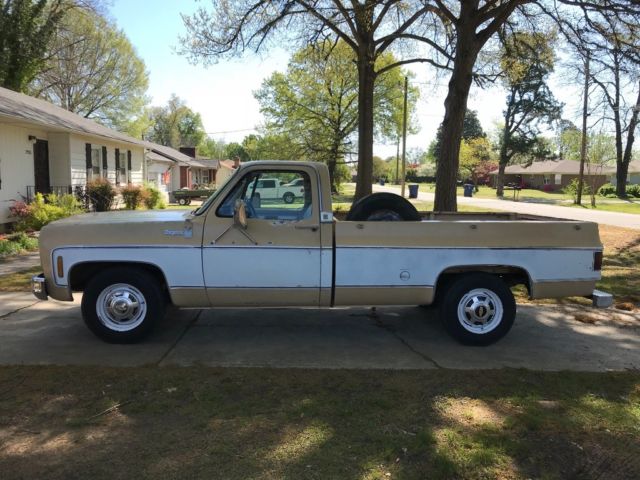 1978 Chevrolet C-10 - photo 2
