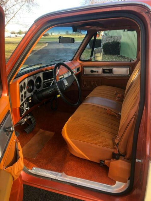 1978 Chevrolet C/K Pickup 1500 - photo 10