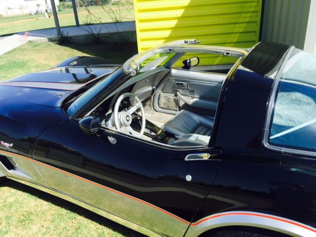 1978 Chevrolet Corvette 25th anniversary L 48 Pace Car - photo 3