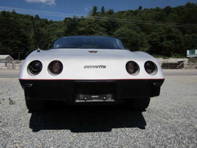 1978 Chevrolet Corvette Silver Anniversary - photo 3