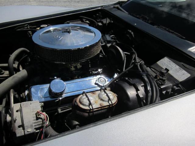 1978 Chevrolet Corvette Silver Anniversary - photo 6