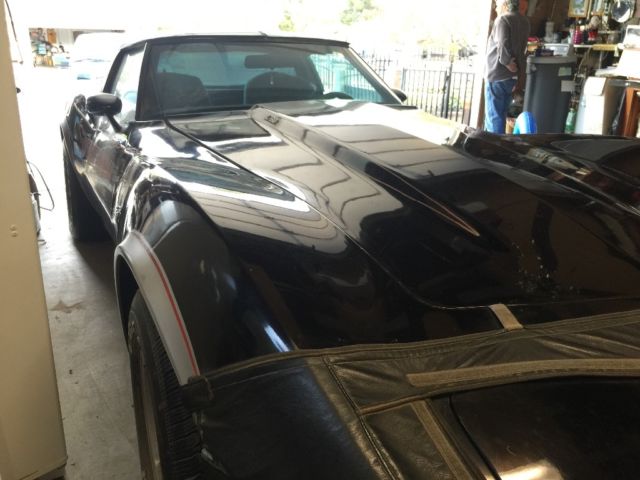 1978 Chevrolet Corvette Official pace car - photo 7