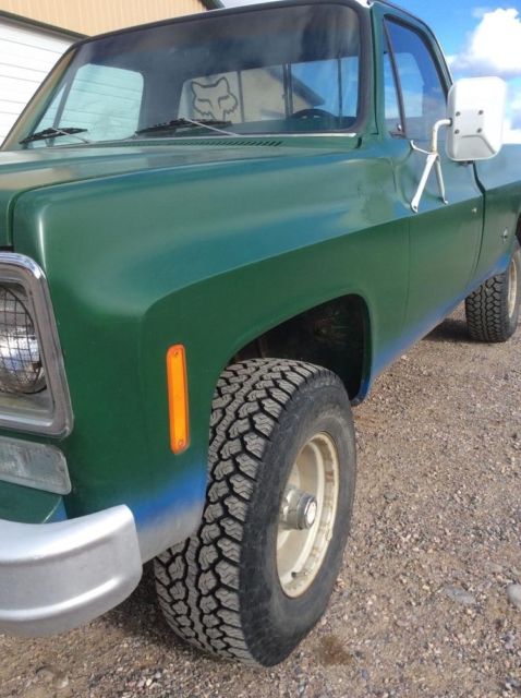1978 Chevrolet C/K Pickup 1500 - photo 2
