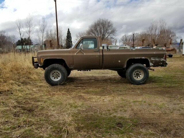 1978 Chevrolet C/K Pickup 2500 - photo 2