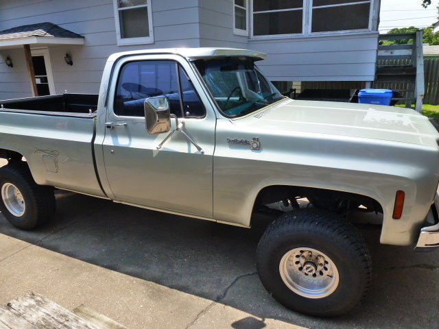 1978 Chevrolet Scottsdale - photo 4