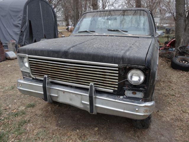 1978 Chevrolet C/K Pickup 1500 - photo 2
