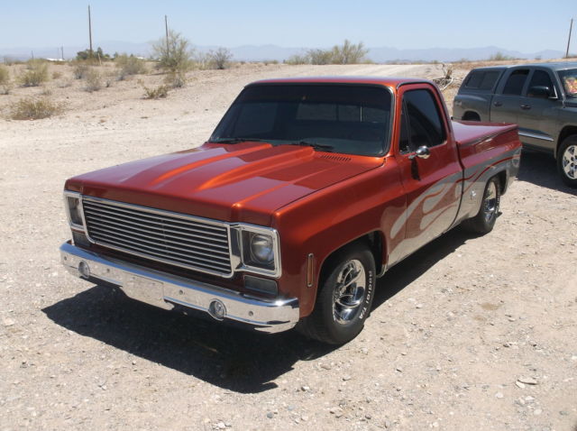 1978 Chevrolet C/K Pickup 1500 - photo 2