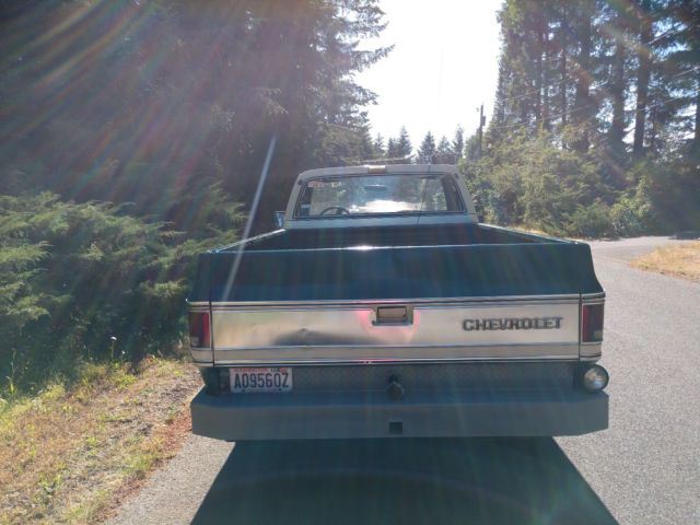 1978 Chevrolet Silverado 2500 Silverado - photo 7