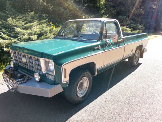 1978 Chevrolet Silverado 2500 Silverado - photo 2