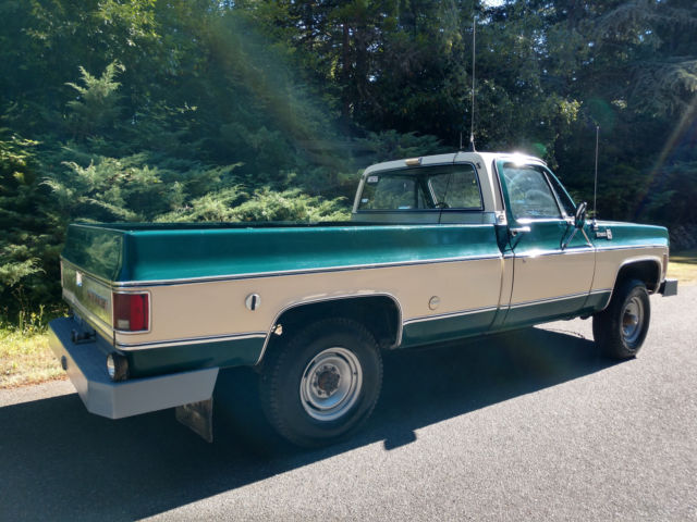 1978 Chevrolet Silverado 2500 Silverado - photo 6