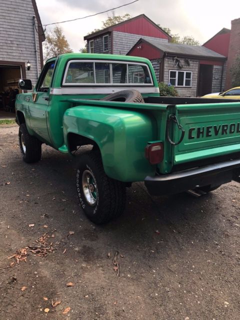 1978 Chevrolet C/K Pickup 1500 Cheyenne - photo 3