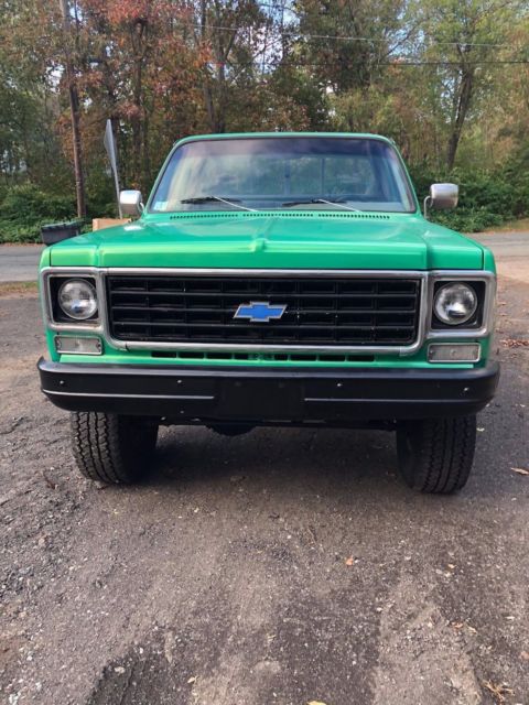 1978 Chevrolet C/K Pickup 1500 Cheyenne - photo 6