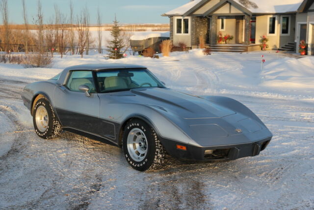 1978 Corvette 25th Anniversary Edition Silver on Silver 350ci/Auto 1978 Chevrolet Corvette 25th Anniversary Silver
