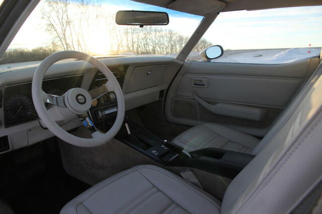 1978 Chevrolet Corvette 25th Anniversary Silver - photo 12