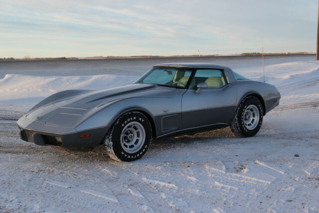 1978 Chevrolet Corvette 25th Anniversary Silver - photo 2