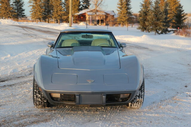1978 Chevrolet Corvette 25th Anniversary Silver - photo 3
