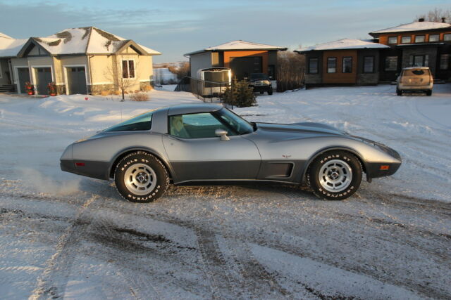 1978 Chevrolet Corvette 25th Anniversary Silver - photo 4