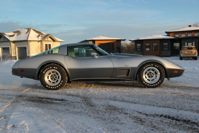 1978 Chevrolet Corvette 25th Anniversary Silver - photo 5