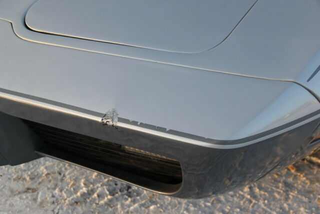 1978 Chevrolet Corvette 25th Anniversary Silver - photo 8