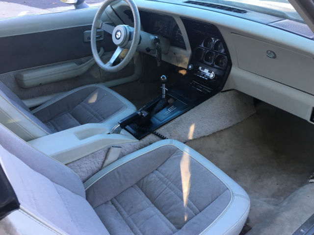 1978 Chevrolet Corvette Anniversary Edition - photo 9