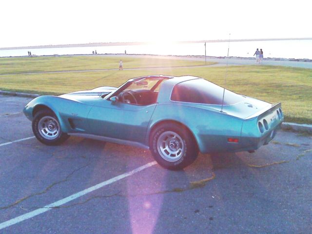 1978 Chevrolet Corvette Pace Car 25th Anniversary - photo 2