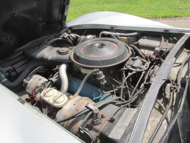 1978 Chevrolet Corvette Silver and Brown 25th Aniversery collors - photo 7