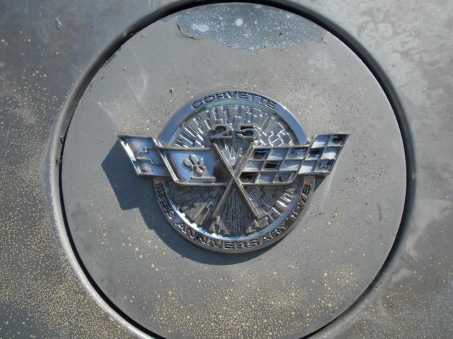 1978 Chevrolet Corvette 25TH SILVER ANNIVERSARY - photo 12