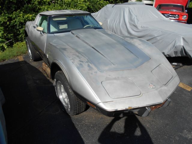 1978 Chevrolet Corvette 25TH SILVER ANNIVERSARY - photo 2