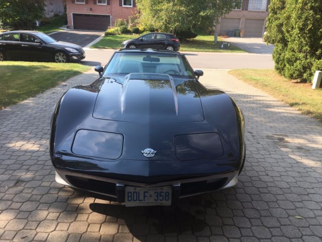 1978 Chevrolet Corvette Pace Car - photo 2