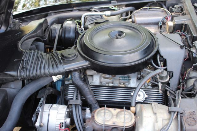 1978 Chevrolet Corvette Pace Car - photo 9