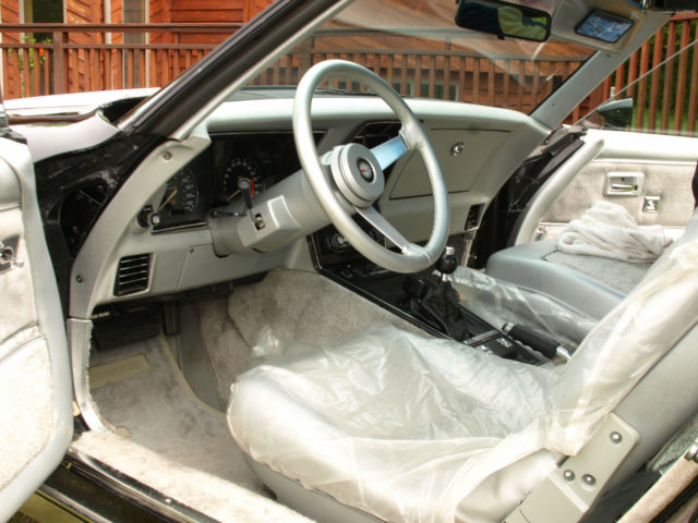 1978 Chevrolet Corvette Pace Car - photo 6