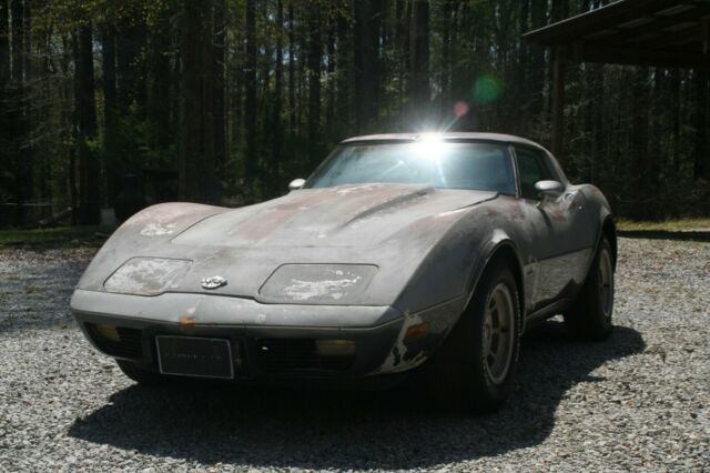 1978 Chevrolet Corvette Silver Anniversary - photo 2