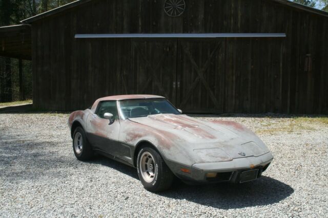 1978 Chevrolet Corvette Silver Anniversary - photo 3