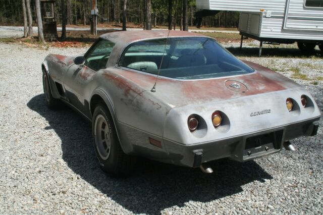 1978 Chevrolet Corvette Silver Anniversary - photo 7