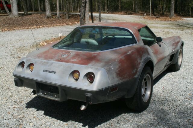 1978 Chevrolet Corvette Silver Anniversary - photo 8